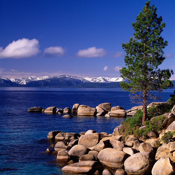 Lake Tahoe Landscape